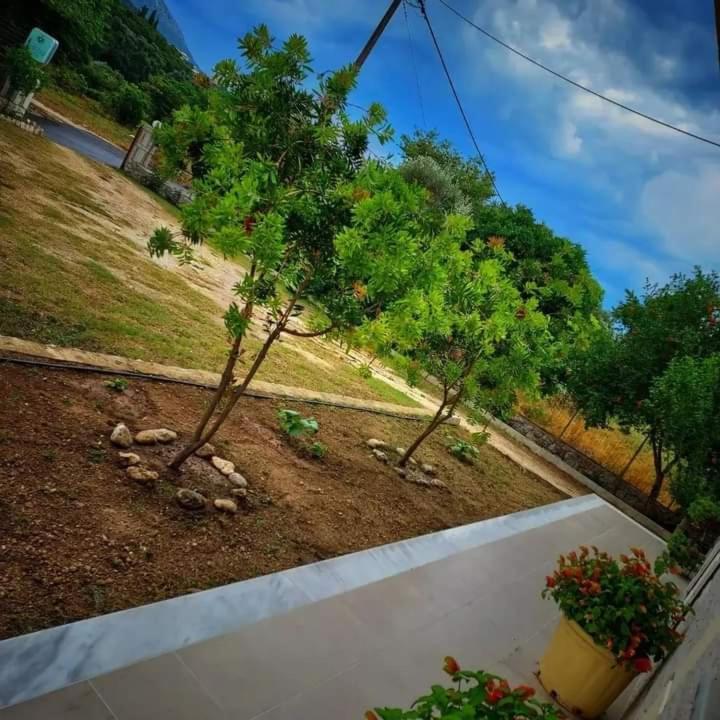 Calma Studios Parga Exterior foto